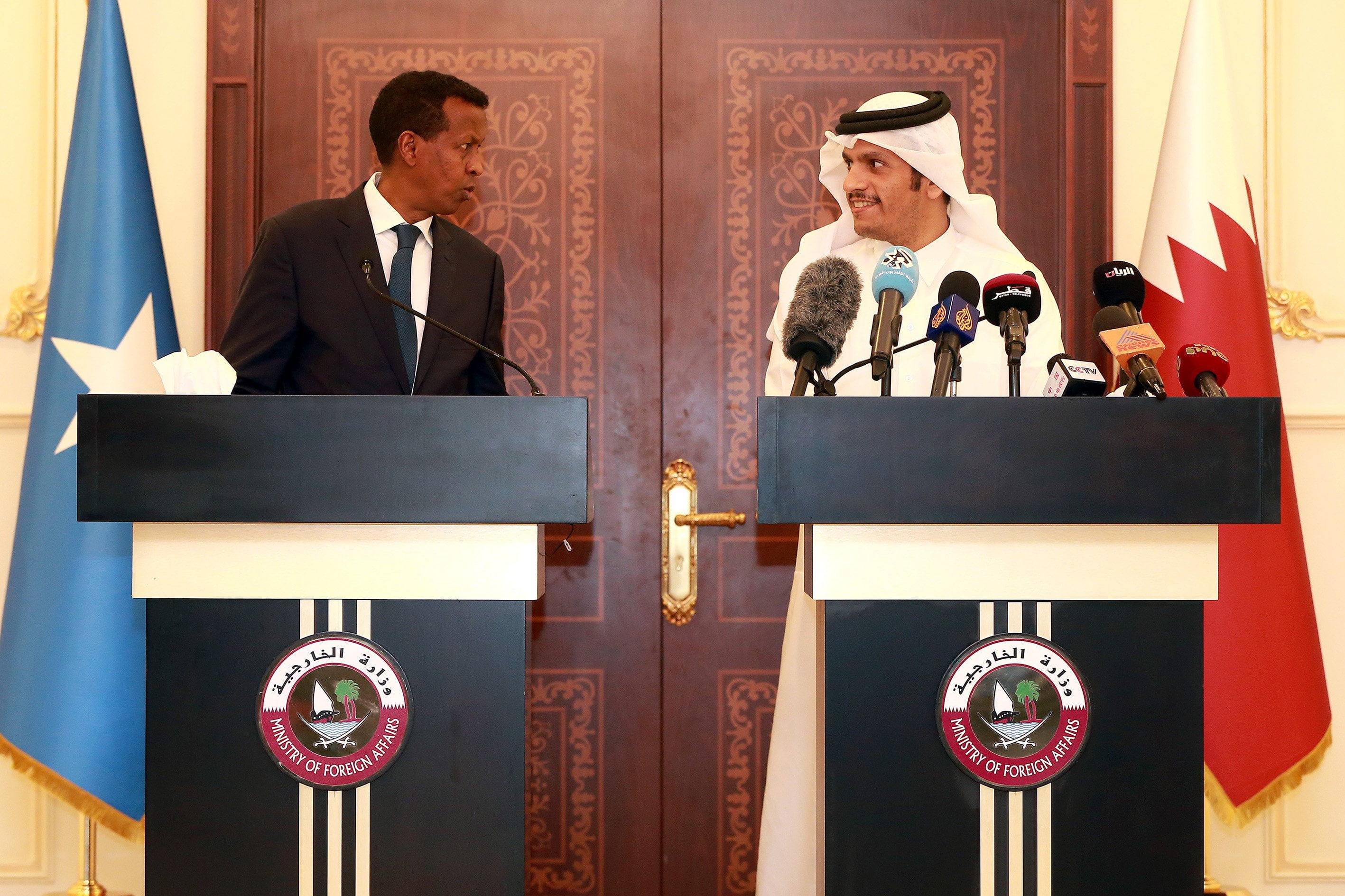 UAE pledges US$one hundred million to worldwide training