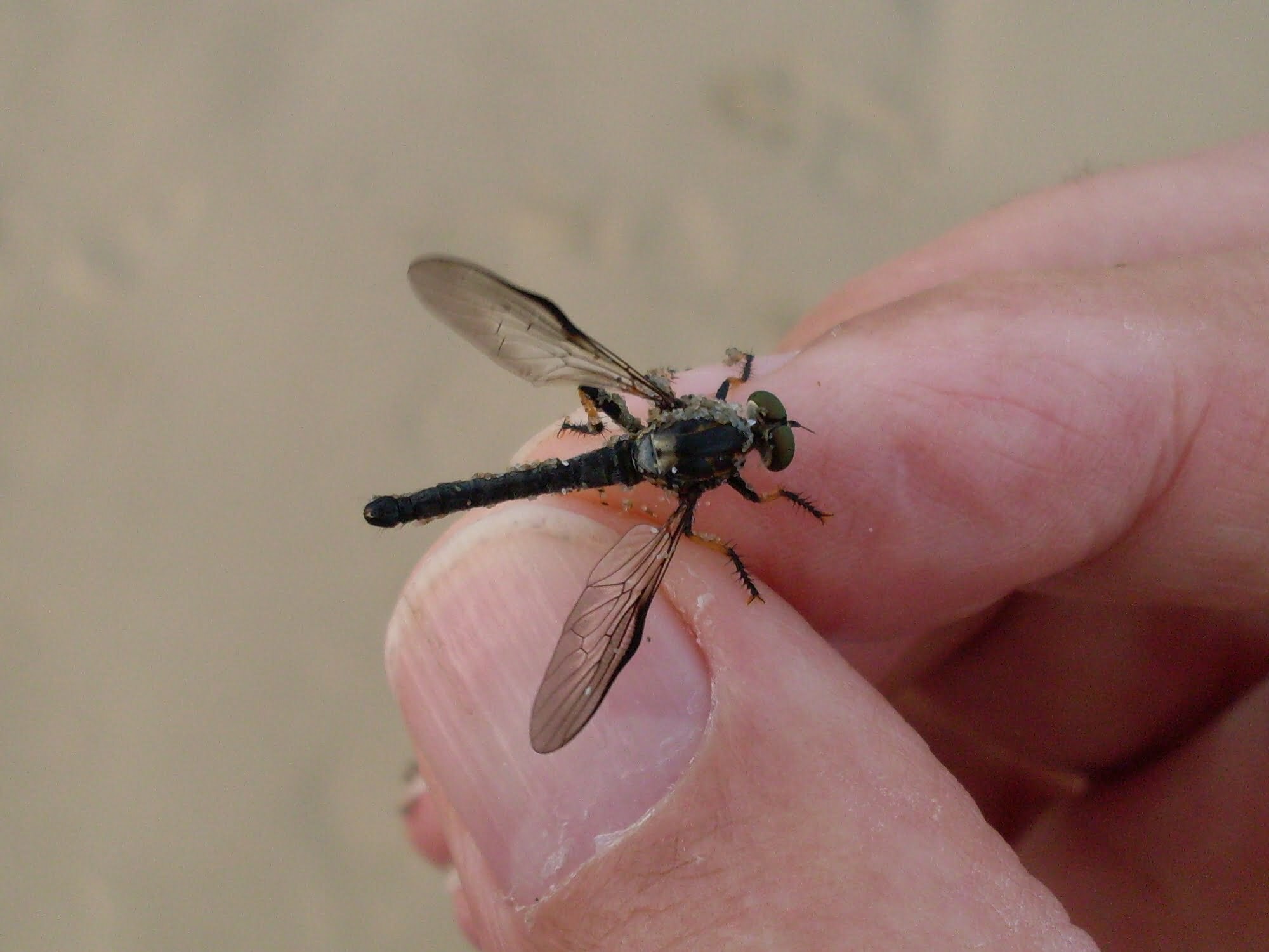 The power to file cellular software insects in user’s hands