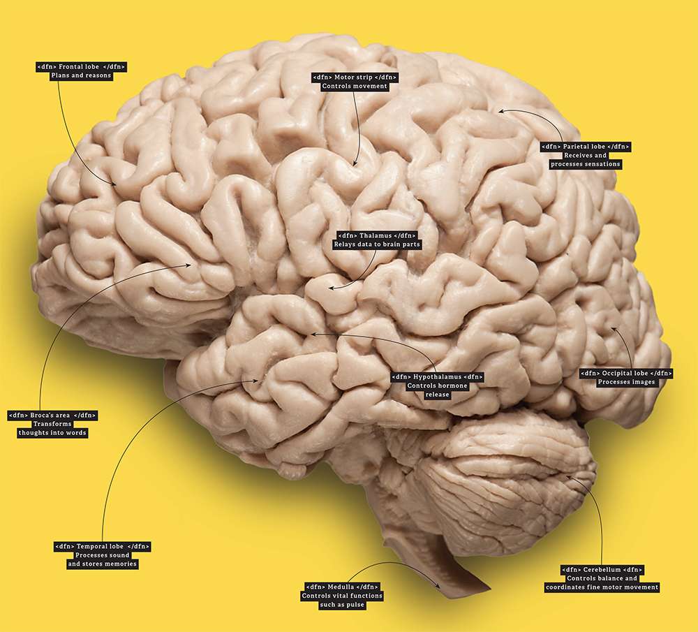 Computer reads brain interest to discover the track all