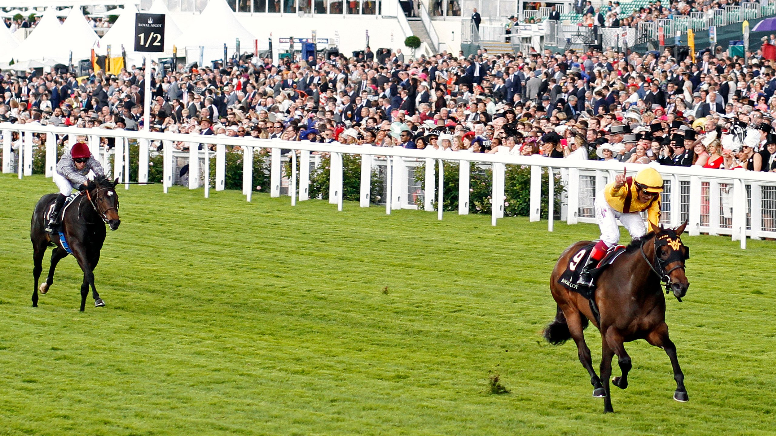 Leopardstown recommendations: Mind’s Eye can sparkle