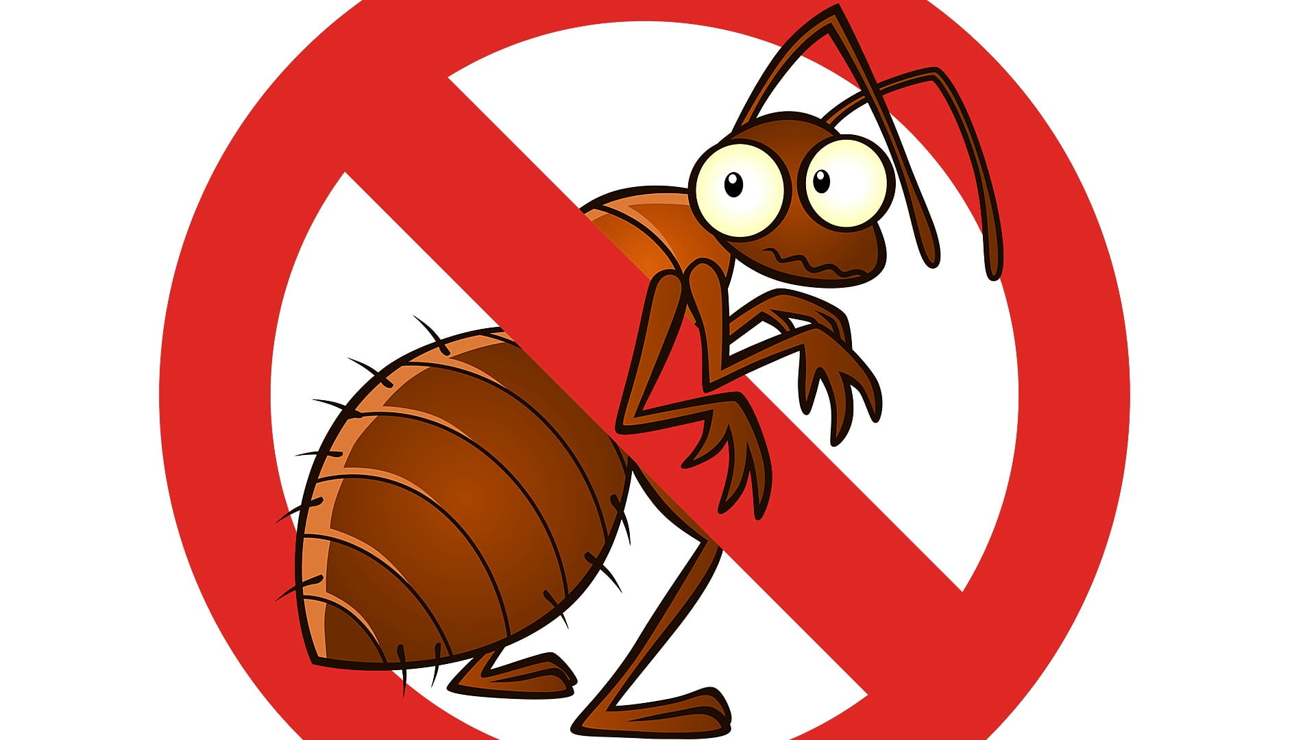 Important Tips to Control Pests