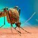 Officials offer tips for mosquito season
