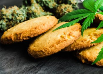 YOUR GUIDE TO CBD EDIBLES