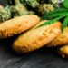 YOUR GUIDE TO CBD EDIBLES