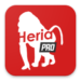 Hiera Pro Apk – Is It Worth It?