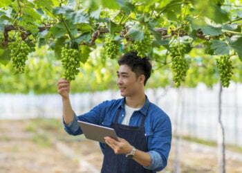 Financing options for agriculture business owners in India